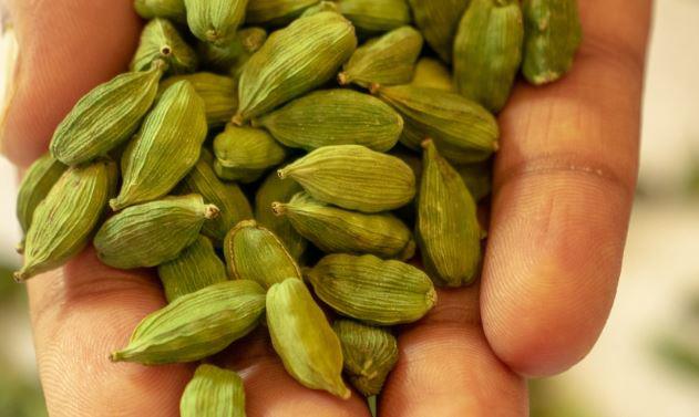 Loại gia vị đắt đỏ bậc nhất thế giới, 2 triệu đồng/kg, ở Việt Nam trồng bạt ngàn - 2