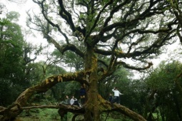 Du lịch - Sa Mu - cung trekking 'đẹp như cổ tích'