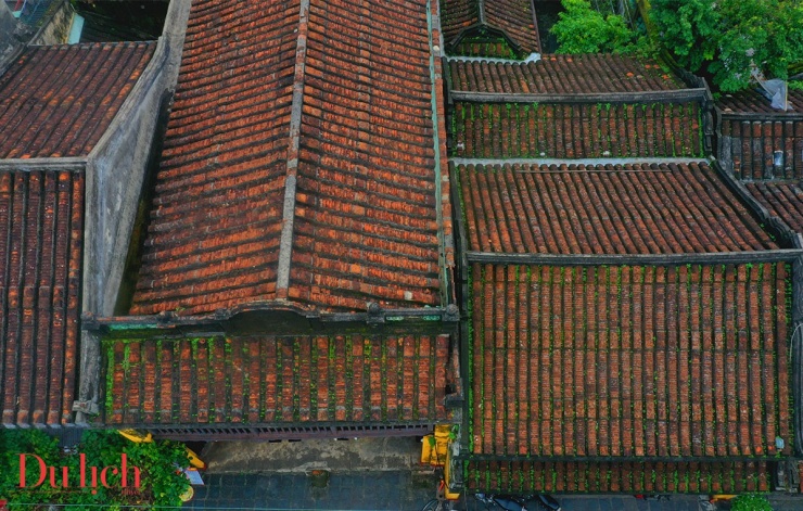 Mùa rêu gieo thương nhớ làm say lòng du khách đến với phố cổ Hội An - 11