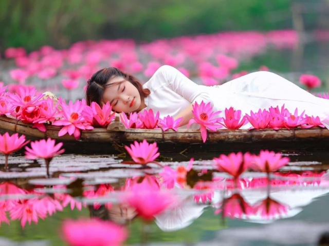 Mùa hoa súng đẹp như chốn thần tiên ở chùa Hương
