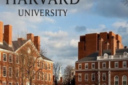 Giáo dục - du học - Giúp con từ đứa trẻ bại não trở thành thạc sĩ Đại học Harvard, mẹ đơn thân chia sẻ cách dạy con độc đáo