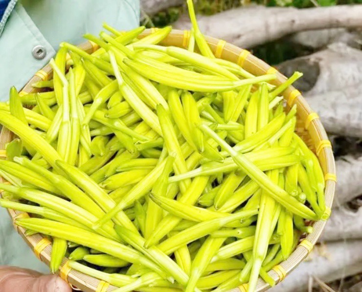 Loài hoa chứa chất độc có từ 2.000 năm trước, người Việt vẫn ăn ầm ầm - 3