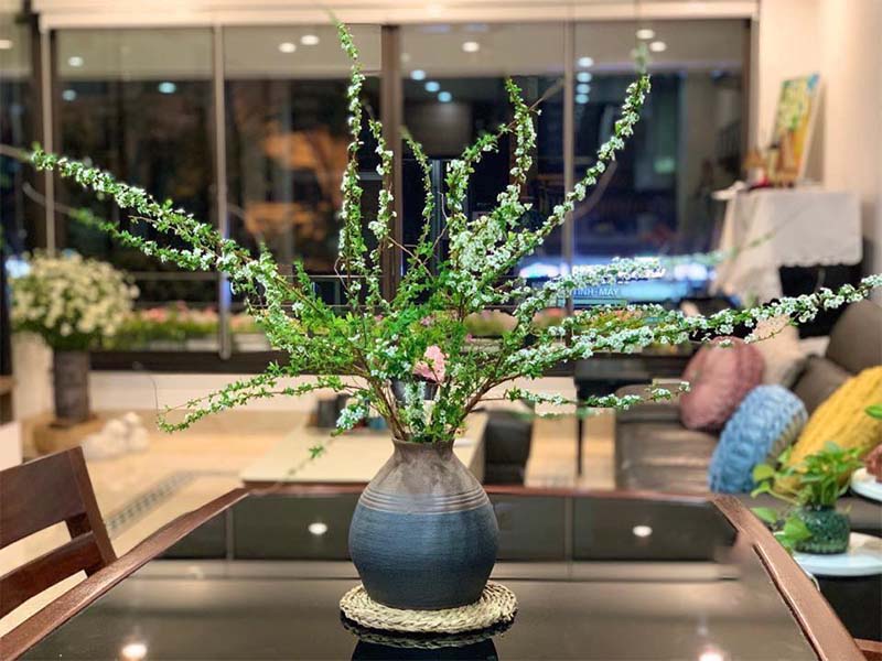 Hoa tuyết mai thường được trưng trong nhà vào dịp Tết,&nbsp;thể hiện sự sang trọng quý phái&nbsp;