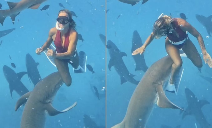 Lilian bị cá mập cắn khi đang bơi giữa đàn 50 con ở Maldives. Ảnh cắt từ video
