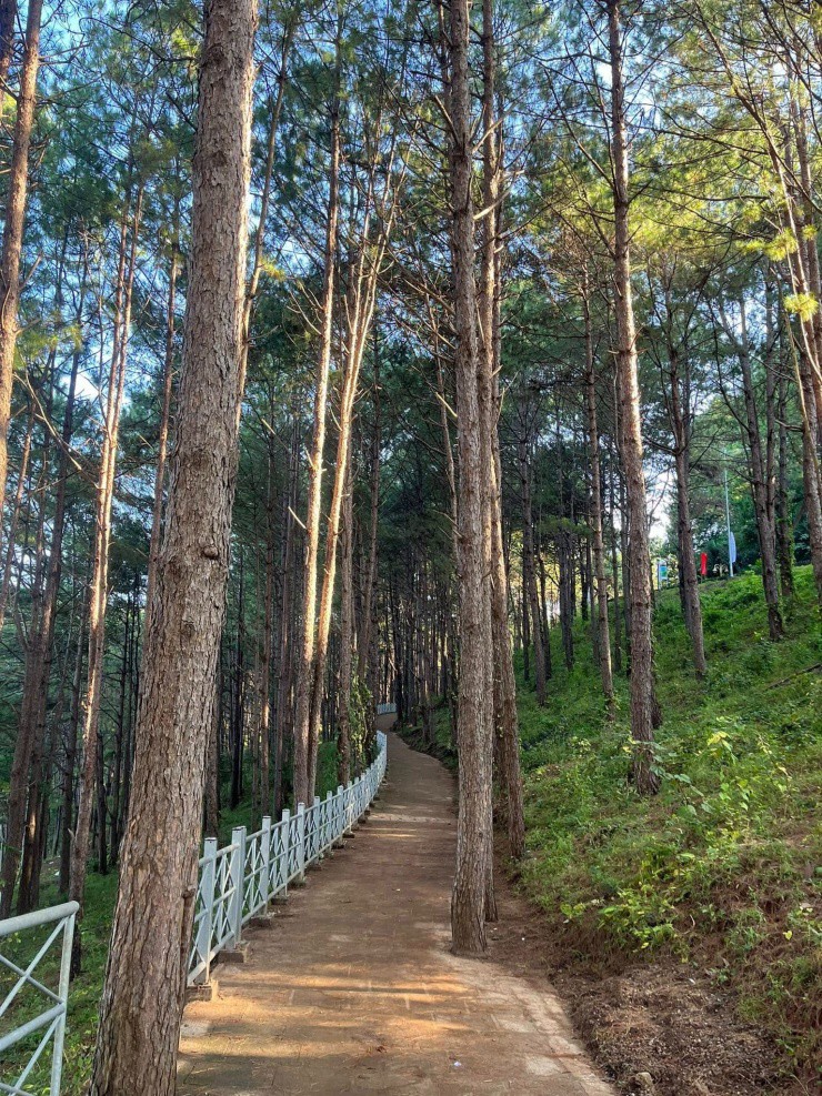 Không gian yên bình.