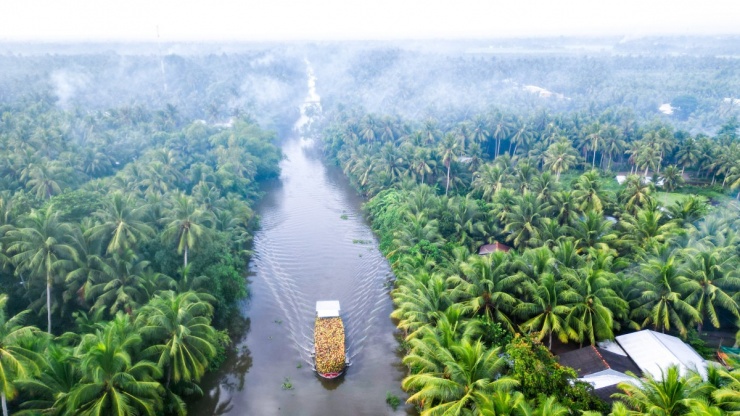 Ghe chở trái cây đi qua kênh ở xã Thanh Mỹ lúc bình minh, hai bên là những vườn dừa sương phủ la đà.