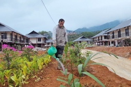 Tin tức trong ngày - Người dân Làng Nủ dựng vườn, trồng hoa chuẩn bị về nhà mới