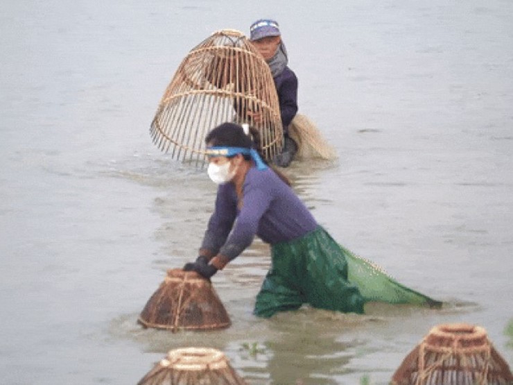 Hàng trăm người xuống ruộng bắt cá cầu may giữa trời lạnh 16 độ