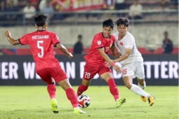 Thị trường - Tiêu dùng - Giá vé xem AFF Cup 2024 ở Thái Lan, Indonesia có rẻ hơn Việt Nam không?