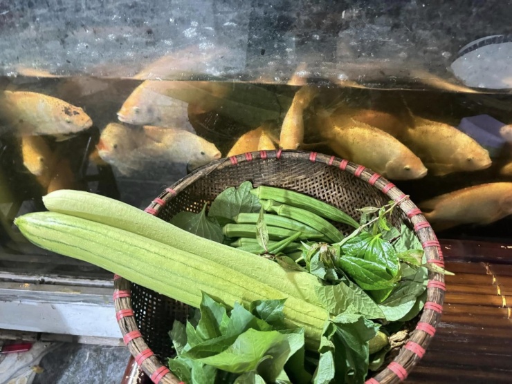 Trồng rau, nuôi cá trên sân thượng