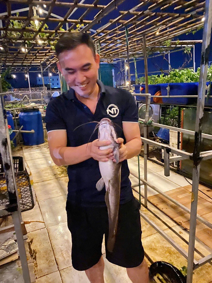 Trồng rau, nuôi cá trên sân thượng