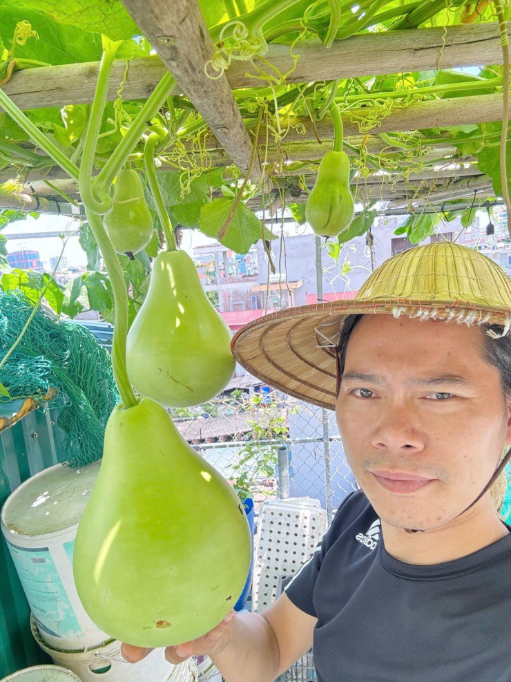 Trồng rau, nuôi cá trên sân thượng