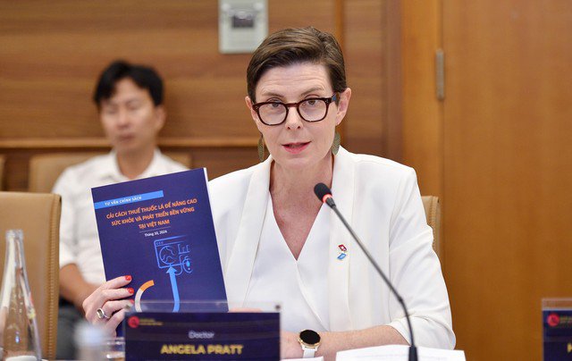 TS Angela Pratt, Trưởng đại diện WHO tại Việt Nam