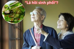 Tin tức sức khỏe - Loại lá được người Nhật ví như &quot;lá hồi sinh phổi&quot; cực đắt đỏ nhưng ở Việt Nam “rẻ như cho”