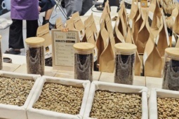 Giá cà phê hôm nay 18-12: Robusta rớt mạnh nhưng vẫn giữ mốc 5.000 USD/tấn