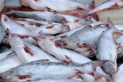 Thị trường - Tiêu dùng - Thu về 12.500 tỷ, 'cá tỷ đô’ của Việt Nam có thêm đối thủ nặng ký ở Trung Quốc