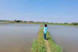 Thị trường - Tiêu dùng - “Lộc trời” vắng bóng, nông dân “vỡ mộng” làm giàu, ôm lỗ hàng tỷ đồng mỗi năm