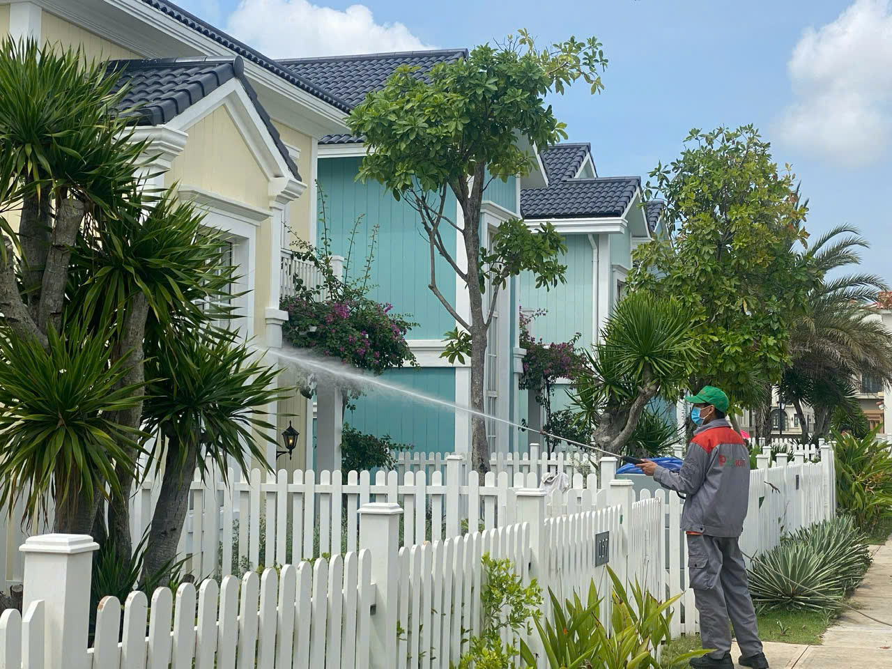 Pest Kill 247 - Công ty dịch vụ diệt côn trùng và kiểm soát sinh vật hại chuyên nghiệp - 1