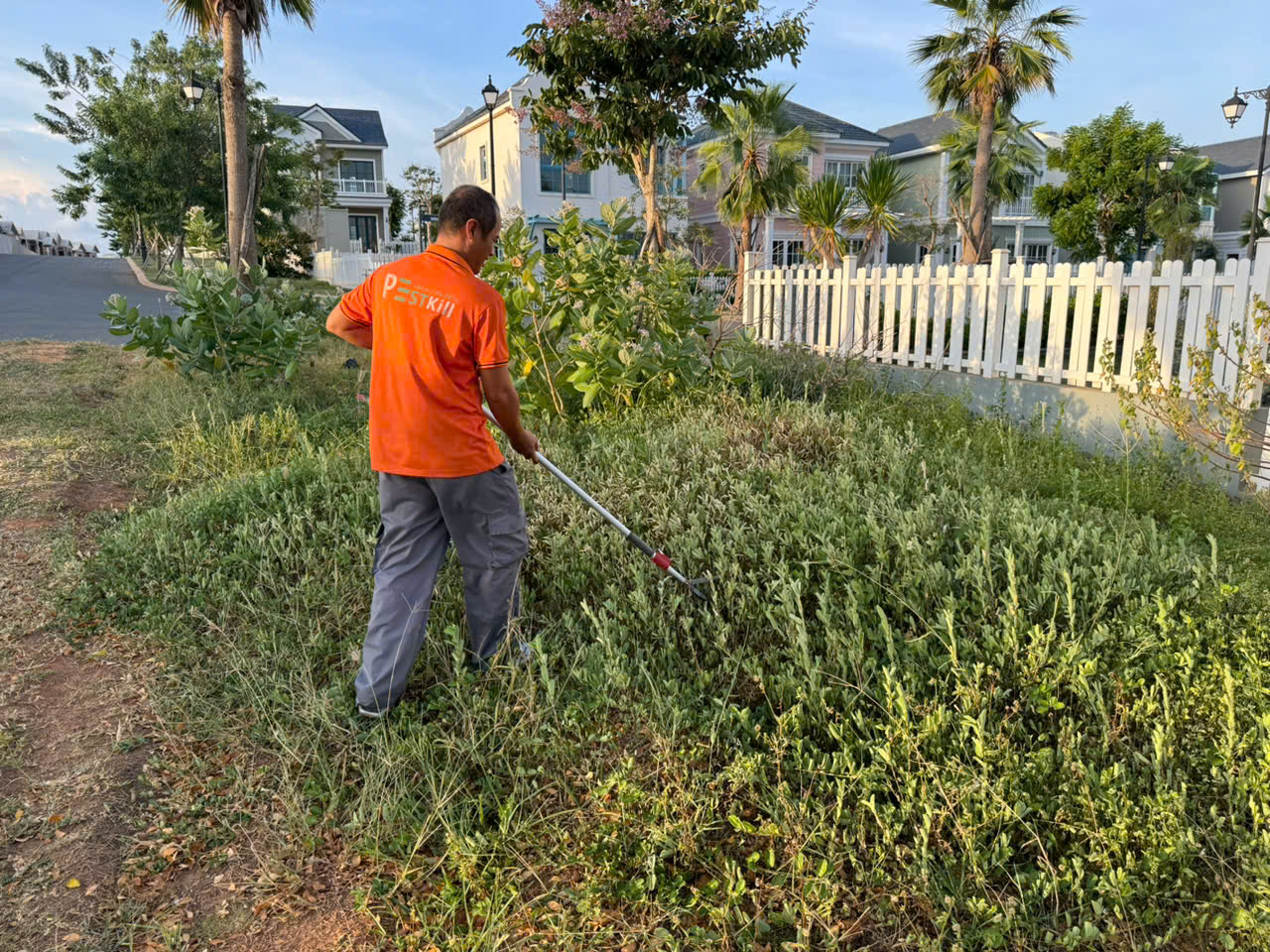 Pest Kill 247 - Công ty dịch vụ diệt côn trùng và kiểm soát sinh vật hại chuyên nghiệp - 2