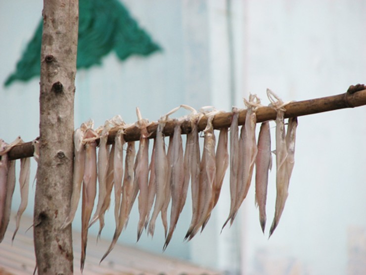 &nbsp;Khô miền Tây không chỉ được tiêu thụ tại địa phương, mà còn được mang đi làm quà khắp nơi trong nước và mang cả ra nước ngoài, trong đó có khô cá khoai.
