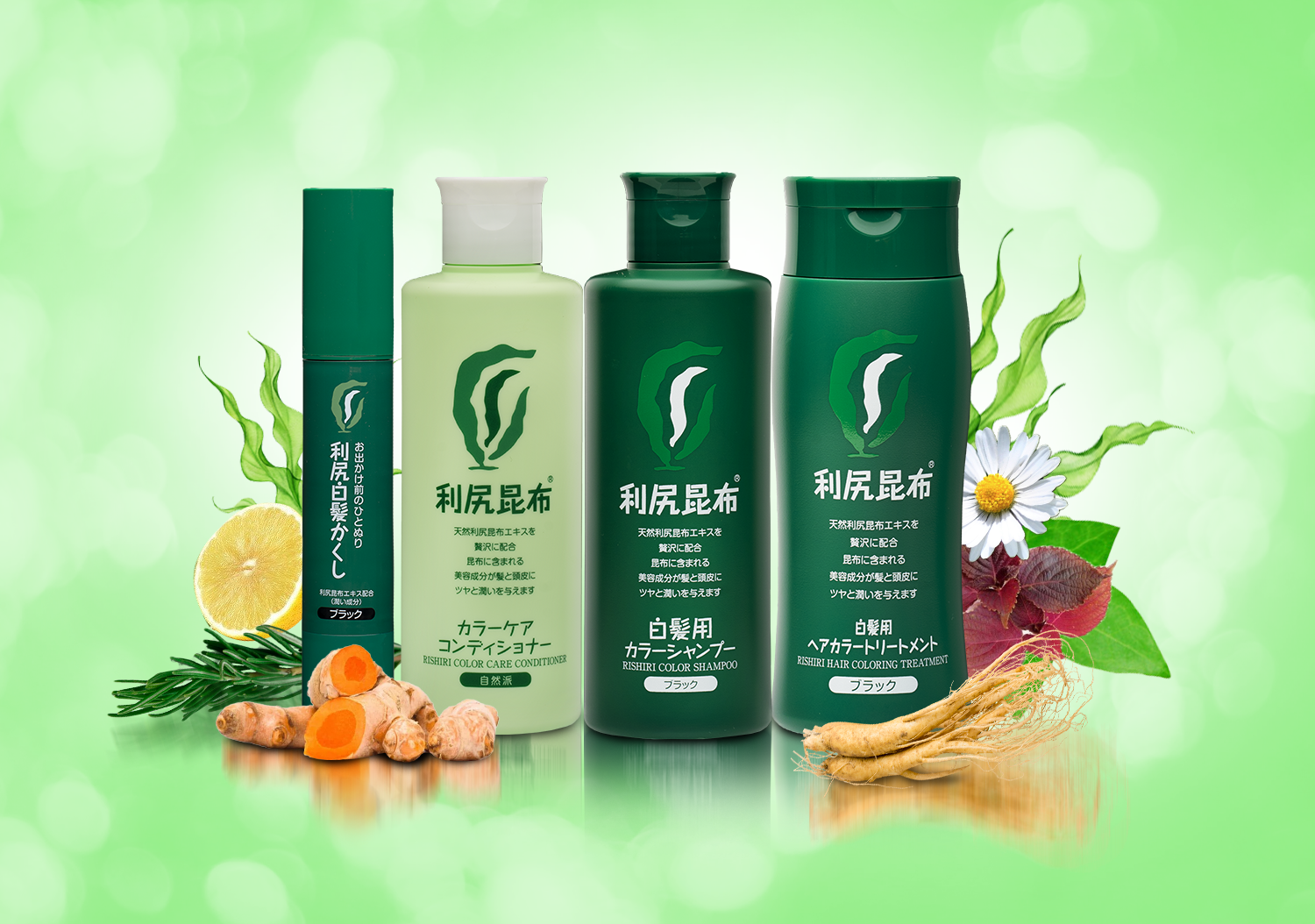 Màu nhuộm phủ bạc Rishiri Hair Coloring Treatment thuộc dòng sản phẩm phủ bạc Rishiri Hair Color.