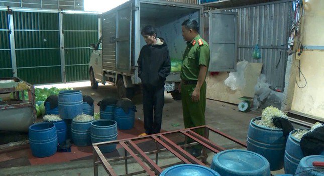 Giá đỗ bị ngâm hoá chất