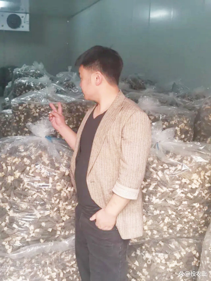 Bán thứ từng chỉ cho lợn ăn mà thành triệu phú - 3