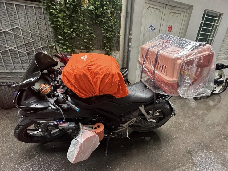 2 thú cưng được Ân đặt trong hộp nhựa phía sau xe và chằng&nbsp;buộc cẩn thận