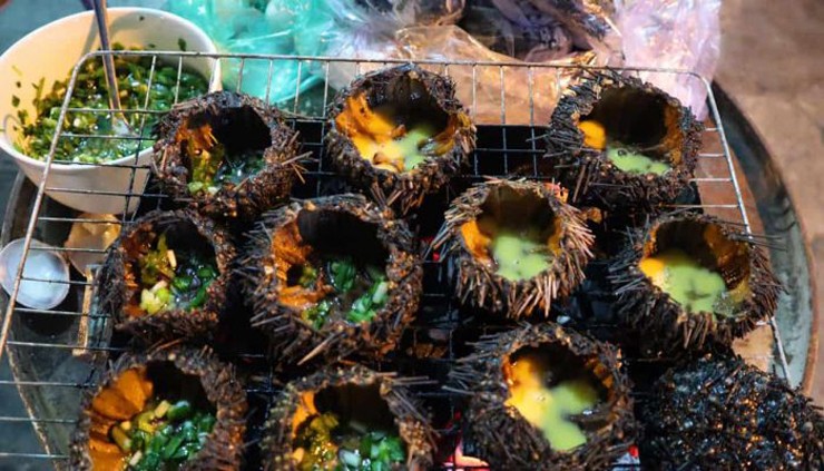 Tại Việt Nam, nhum biển từng không được để ý vì vẻ ngoài đầy gai nhọn, trông không ưa nhìn lại ít thịt.&nbsp;
