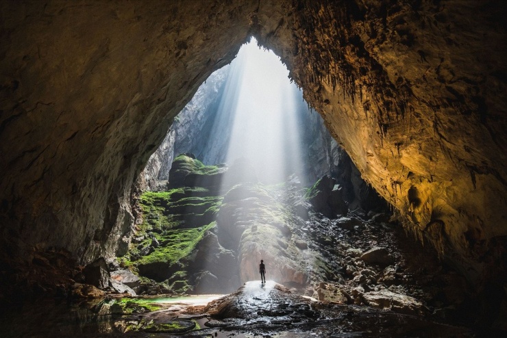 Ảnh Oxalis Adventure
