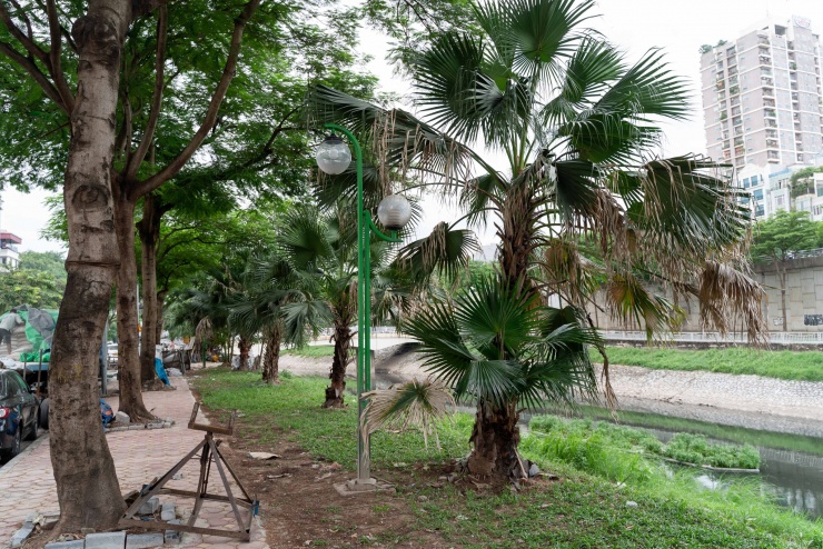 Đoạn vỉa hè được làm mới, lát gạch, có trạm dừng nghỉ. Ngôi nhà nằm nửa trên nửa dưới so với mặt đường được sơn màu đỏ như màu sắc của cổng Văn Miếu Quốc Tử Giám.