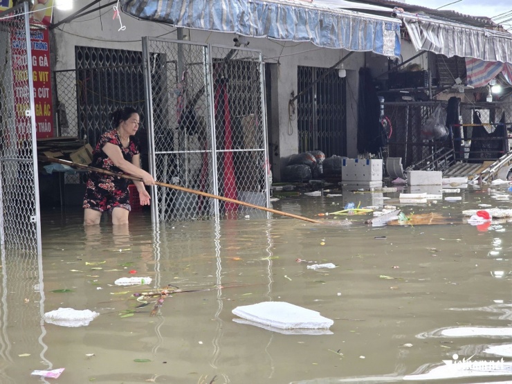 Khu vực chợ đầu mối nằm phía tây đình chính chợ Vinh. Đây là khu vực thấp trũng, mưa lớn kéo dài cộng với nước sông Vinh dâng cao nên nhiều nơi bị ngập sâu. Nước lũ mang theo rác thải đổ về khiến khu vực này bị ô nhiễm nghiêm trọng.