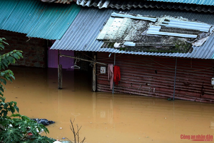 Nước sông Hồng dâng cao, cuộc sống người dân ở chân cầu Long Biên đảo lộn - 3