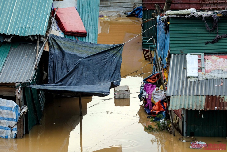 Nước sông Hồng dâng cao, cuộc sống người dân ở chân cầu Long Biên đảo lộn - 4