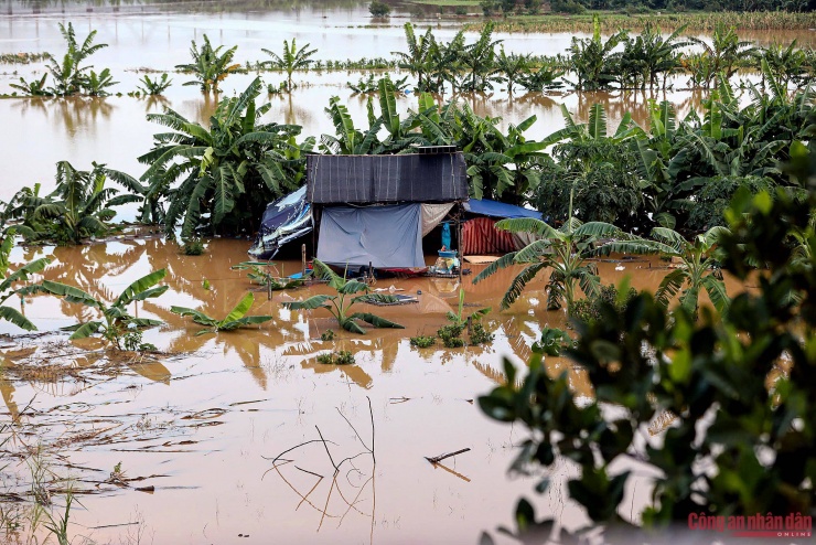 Nước sông Hồng dâng cao, cuộc sống người dân ở chân cầu Long Biên đảo lộn - 10