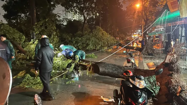 TP.HCM: Mưa lớn khiến cây xanh bật gốc đè trúng hai bà cháu - 1