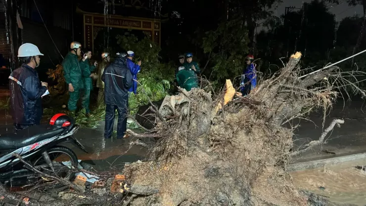 Cây xanh bật gốc đè trúng hai bà cháu. Ảnh: XĐ