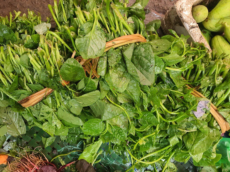 Rau mùng tơi cũng bị dập nát do mưa bão.
