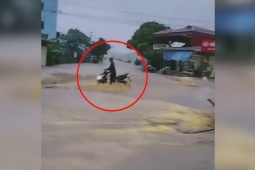 Clip: Cô gái phớt lờ lời nhắc nhở, để k…