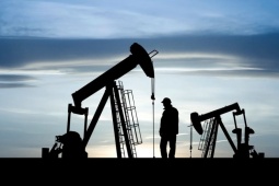 Các công ty dầu mỏ cắt giảm hàng nghìn việc làm khi giá lao dốc