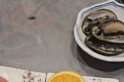 Thị trường - Tiêu dùng - Bỏ 14 triệu đi ăn “buffet có gián”, diễn biến bất ngờ của vụ việc