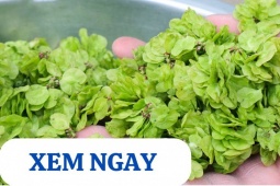 Tin tức sức khỏe - Những loại rau bổ sung dinh dưỡng cho xương khớp ngày mưa bão, trở trời