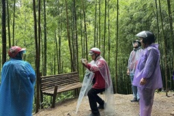 Du lịch - Hoãn tour 'săn' mùa vàng vì mưa, sạt lở