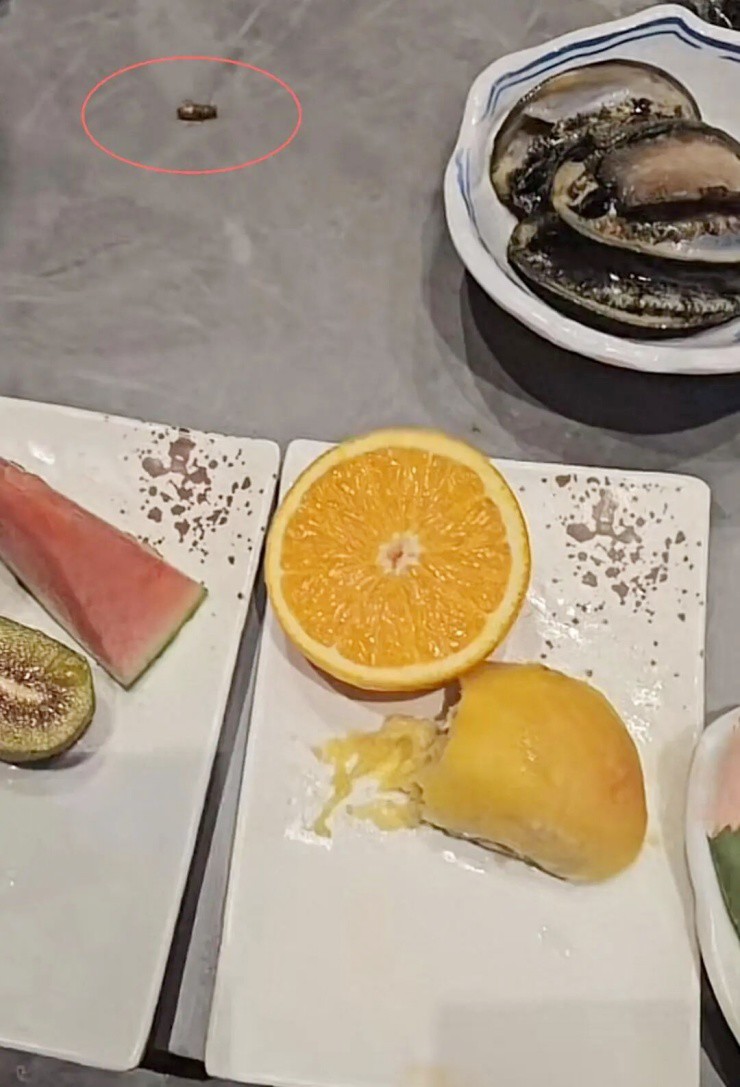 Bỏ 14 triệu đi ăn “buffet có gián”, diễn biến bất ngờ của vụ việc - 1