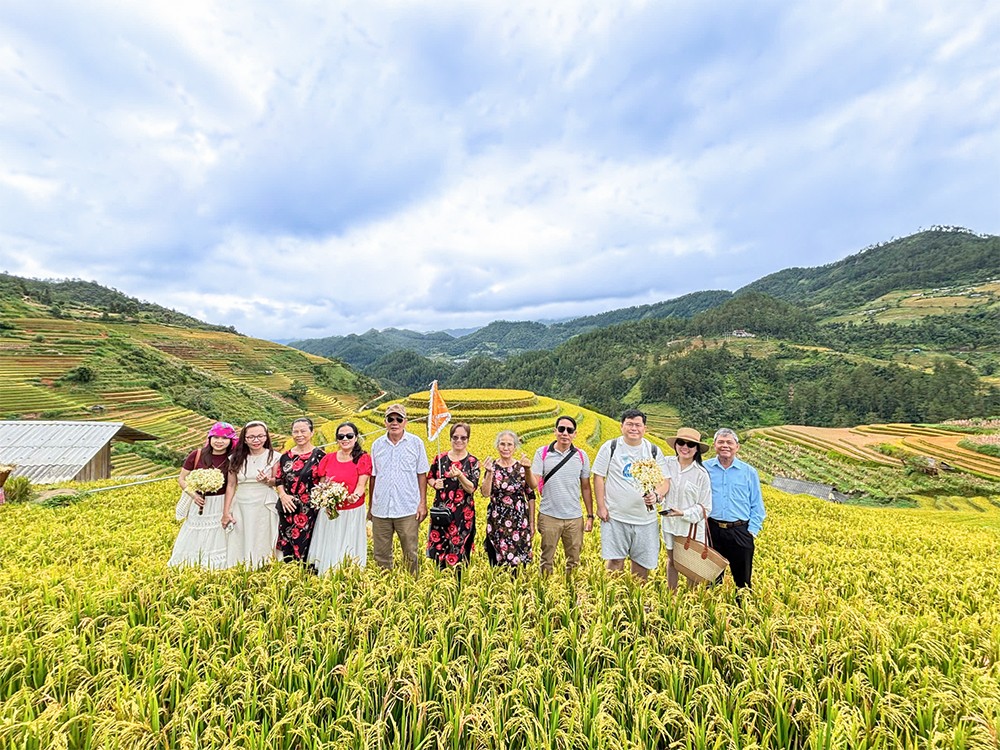 Tour ngắm mùa vàng miền Bắc đang hút khách. Ảnh: Đất Việt Tour.