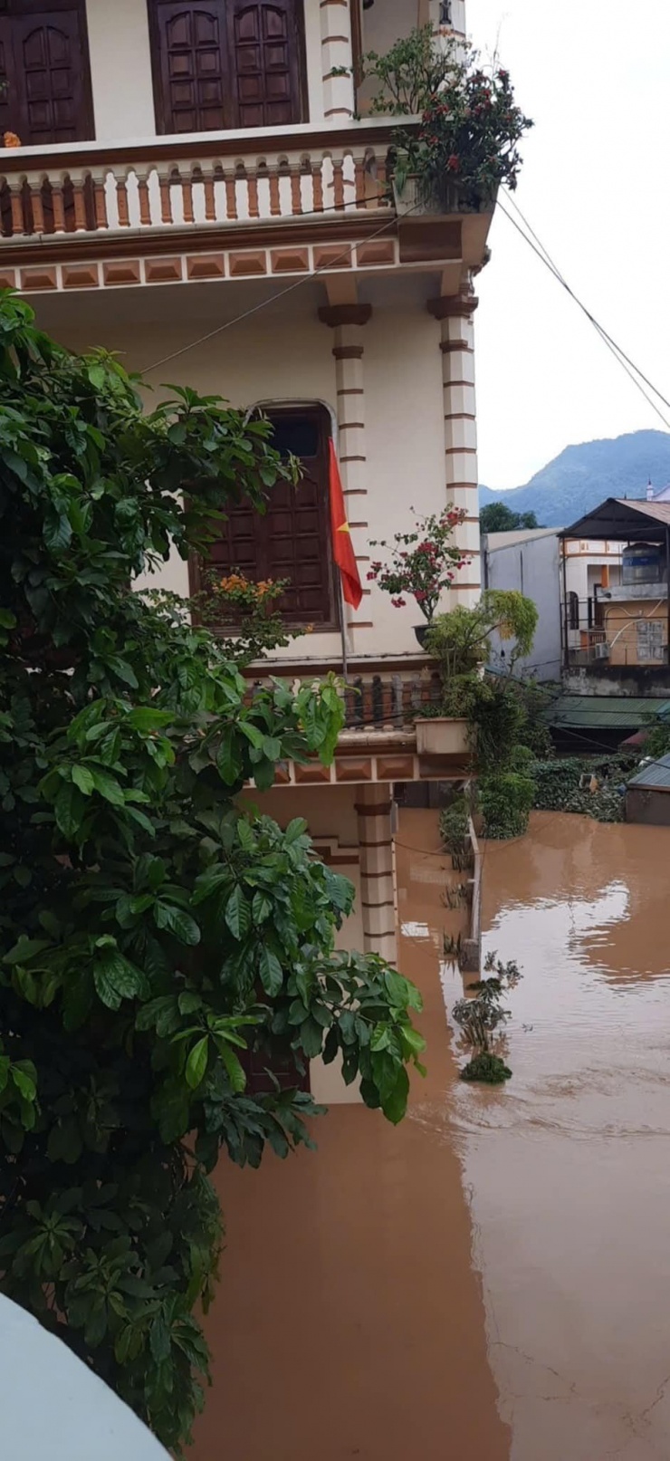 Trấn Thành, Trường Giang chuyển 800 triệu đồng, nhà Lương Thùy Linh ngập sâu trong lũ - 3