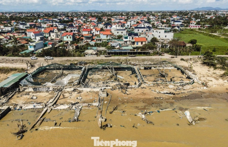 Đầm tôm 5 tỷ đồng tan hoang sau bão - 3