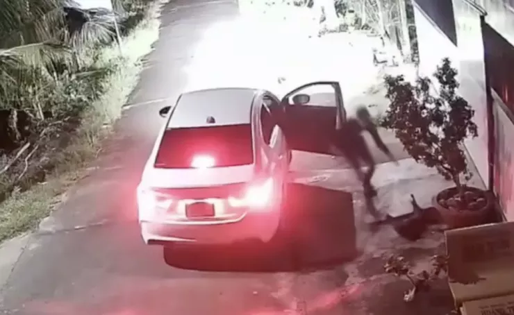 Lái ôtô đi trộm chó: Phương tiện này có bị tịch thu? - 1