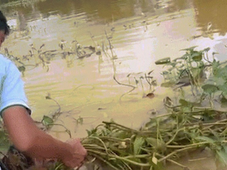 Clip túm tóc vớt người chìm giữa dòng lũ, cảnh tượng sau đó khiến ai nấy bàng hoàng