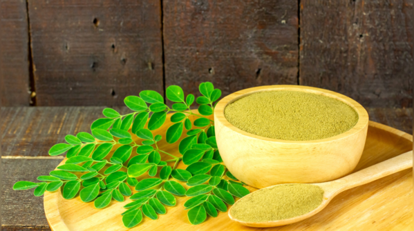 Cây chùm ngây hỗ trợ hạ huyết áp nhờ tăng cường độ đàn hồi của thành mạch.